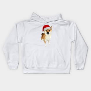 Lilly the Shiba Inu Sitting Down Christmas with Santa Hat Kids Hoodie